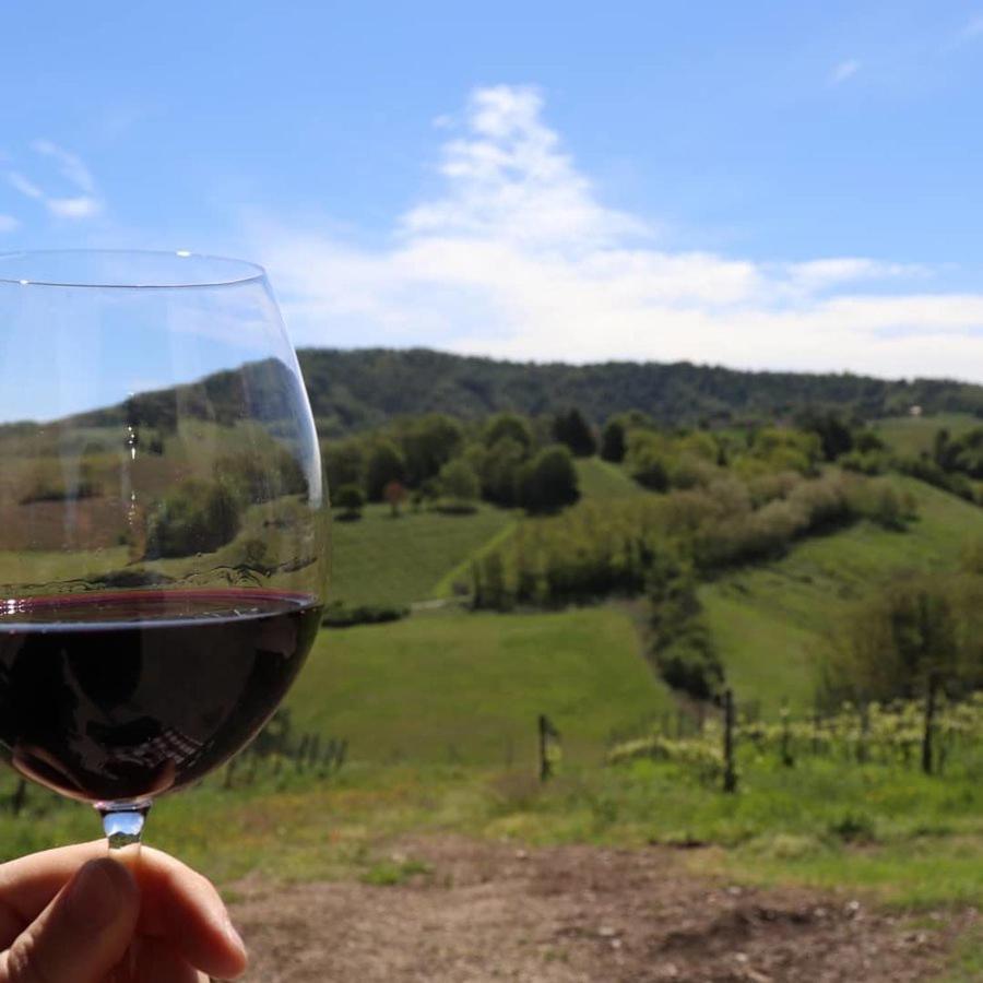 Cascina Angelina Villa Casteggio Luaran gambar